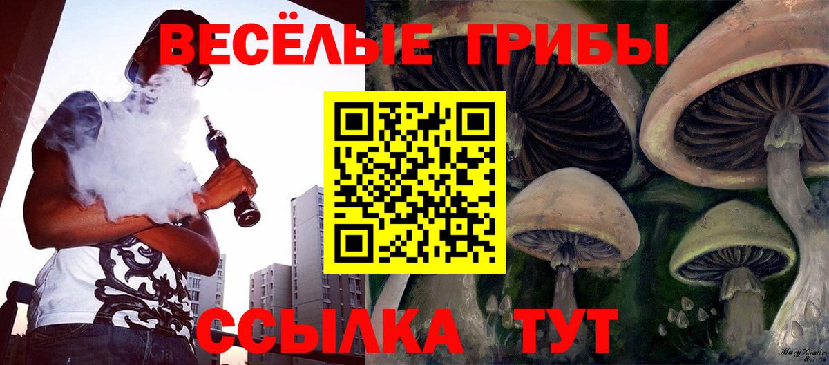 Копейск  Галлюциногенные грибы MAGIC MUSHROOMS  Вход с VPN 